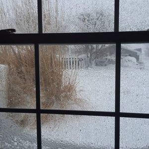 Meet your Posher, Carol